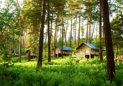 Luxe kamperen - glamping