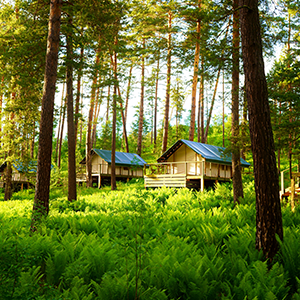 5x waarom glampings zo leuk zijn